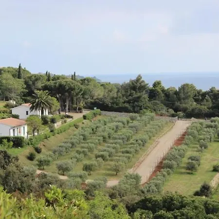 Appartamenti Zuccale - A 200 Mt Dalla Spiaggia Capoliveri  Exterior photo