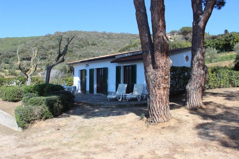 Zuccale - A 200 Mt Dalla Apartment Capoliveri (Isola d'Elba)